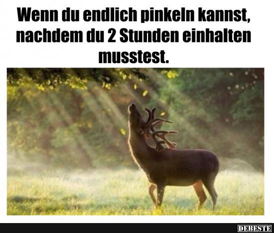 Wenn du endlich pinkeln kannst, nachdem 2 Stunden..
