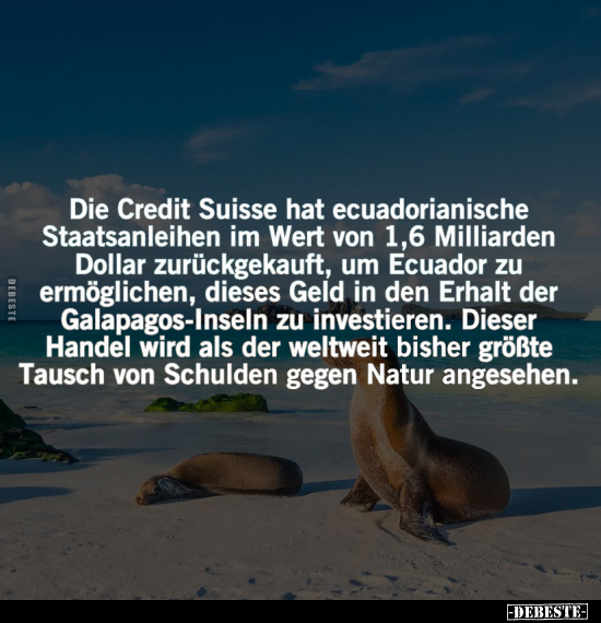 Credit Suisse, Geld