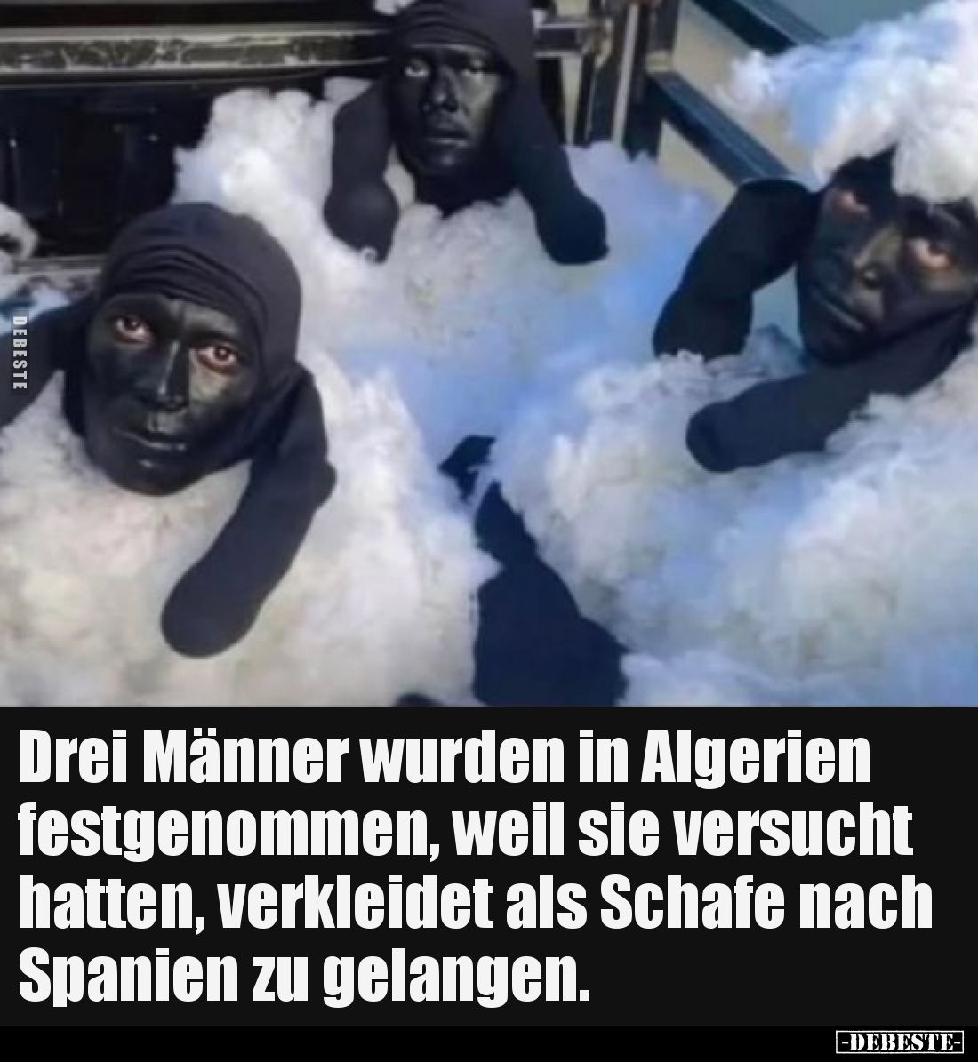 Drei Männer wurden in Algerien festgenommen, weil sie versucht hatten, verkleidet als Schafe nach Spanien zu gelangen.