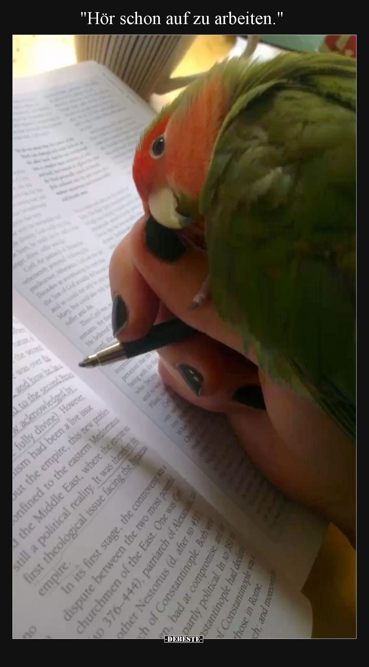 Hör schon auf zu arbeiten.
