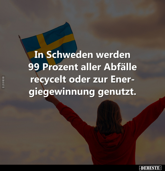 In Schweden werden 99 Prozent.. - Lustige Bilder | DEBESTE.de