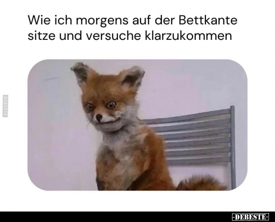 Wie ich morgens auf der Bettkante sitze.. - Lustige Bilder | DEBESTE.de