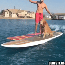 Der Hund macht es besser als sein Herrchen..