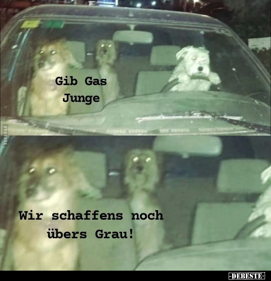 Gib Gas Junge.. - Lustige Bilder | DEBESTE.de