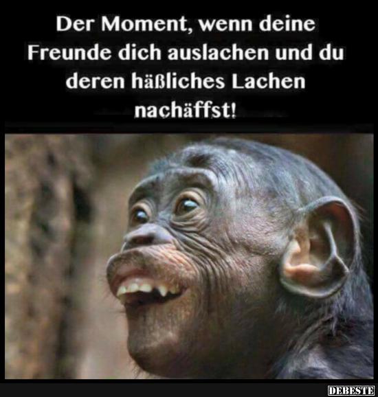 Der Moment, wenn deine Freunde dich auslachen.. - Lustige Bilder | DEBESTE.de