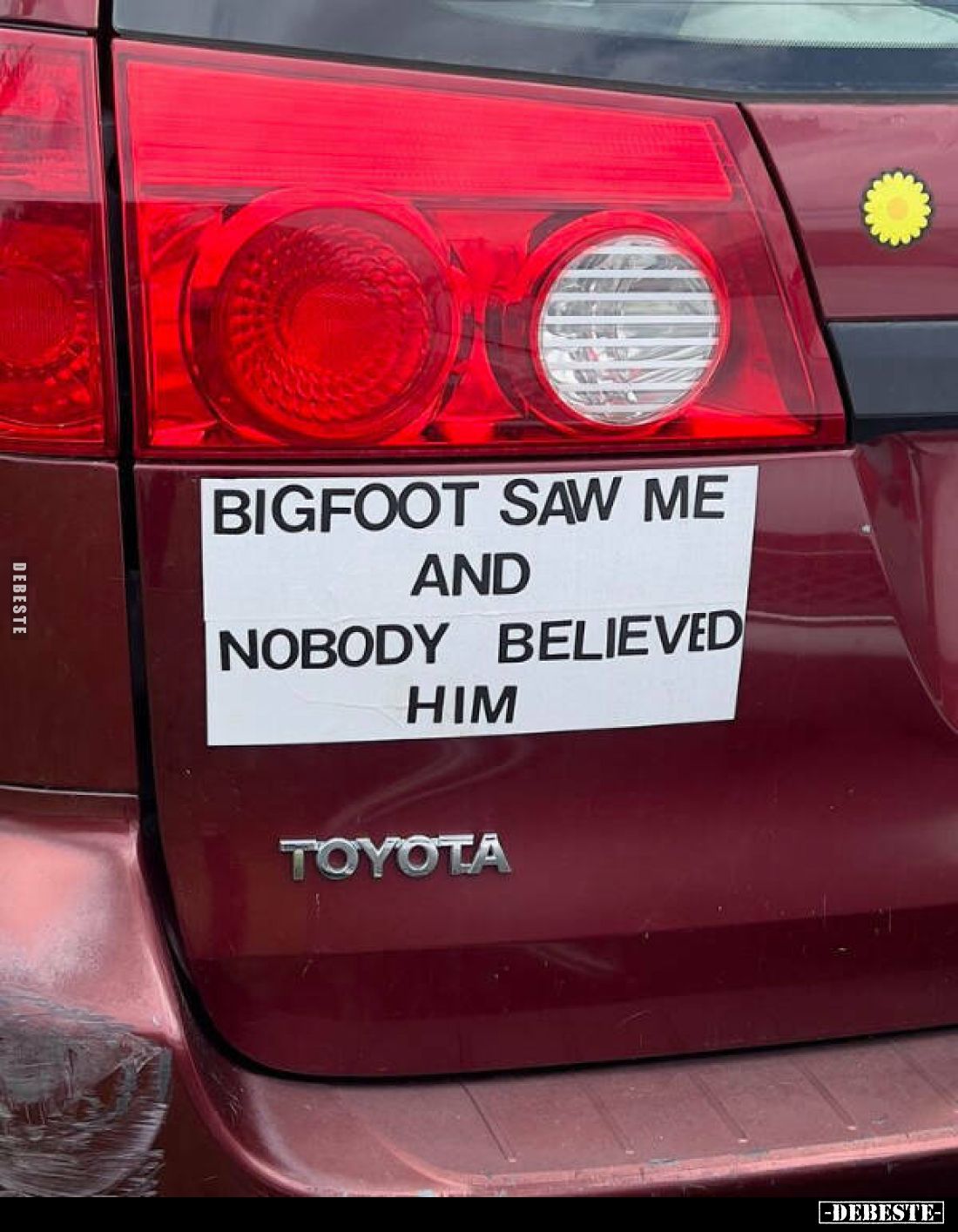 BIGFOOT SAW ME AND NOBODY BELIEVED HIM