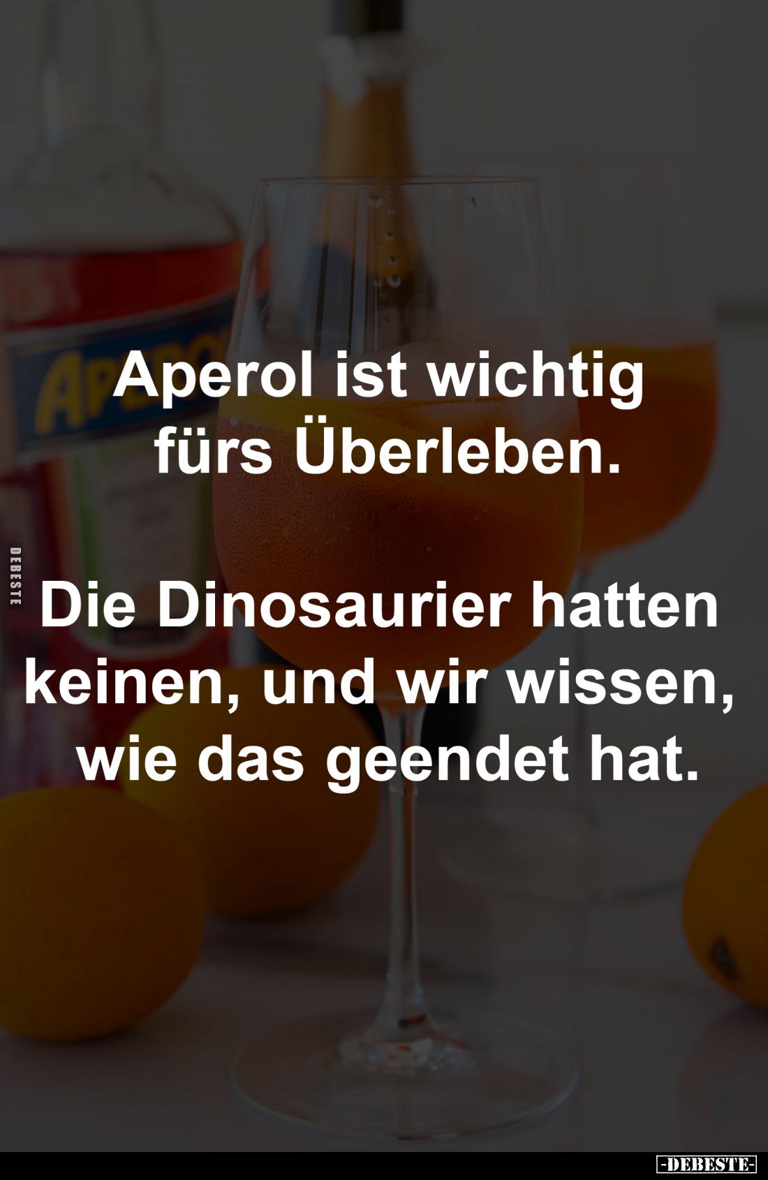 Aperol ist wichtig 
fürs Überleben.

Die Dinosaurier hatten 
keinen, und wir wissen, 
wie das geendet hat.