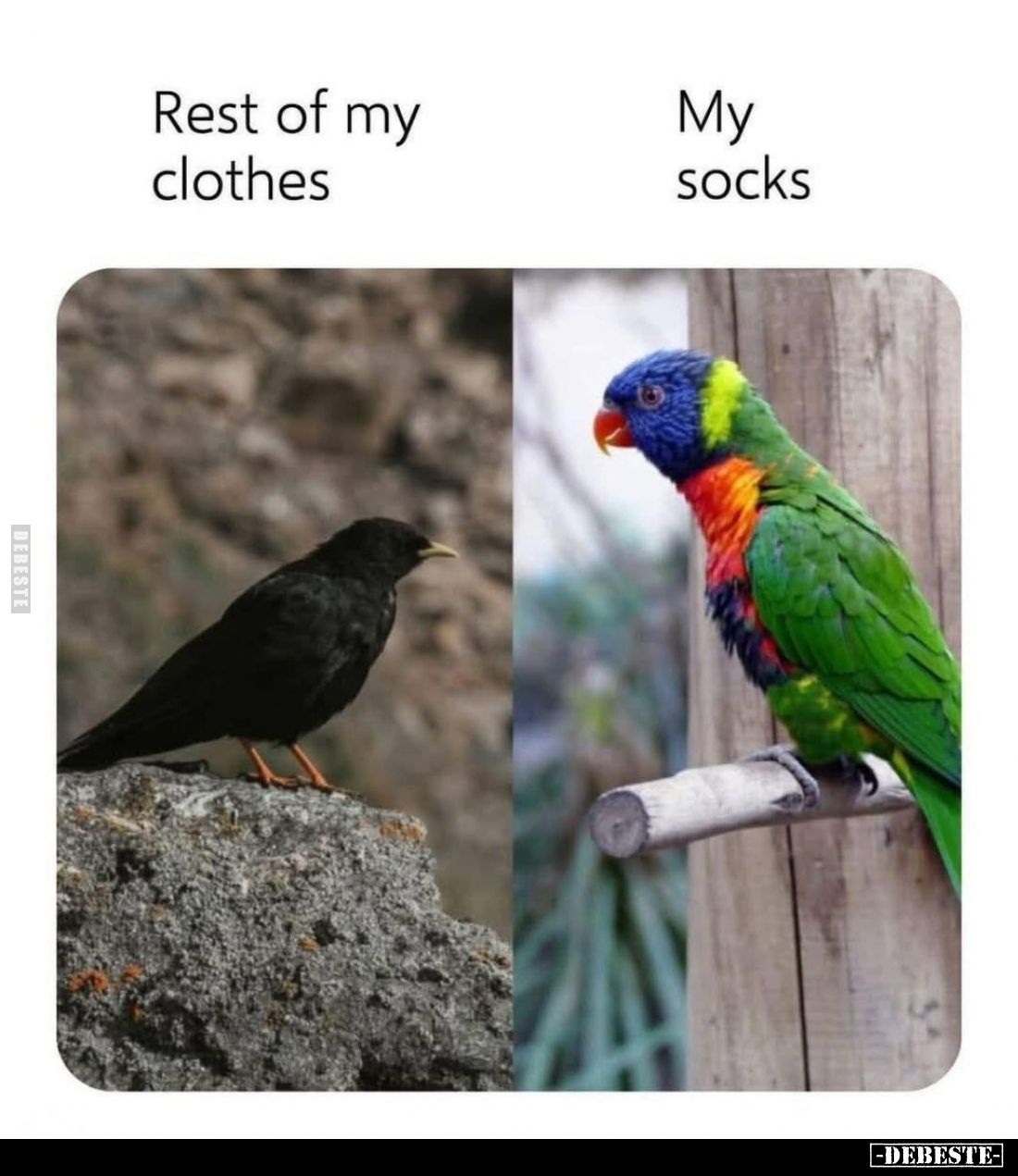 Rest of my clothes. -
My socks.