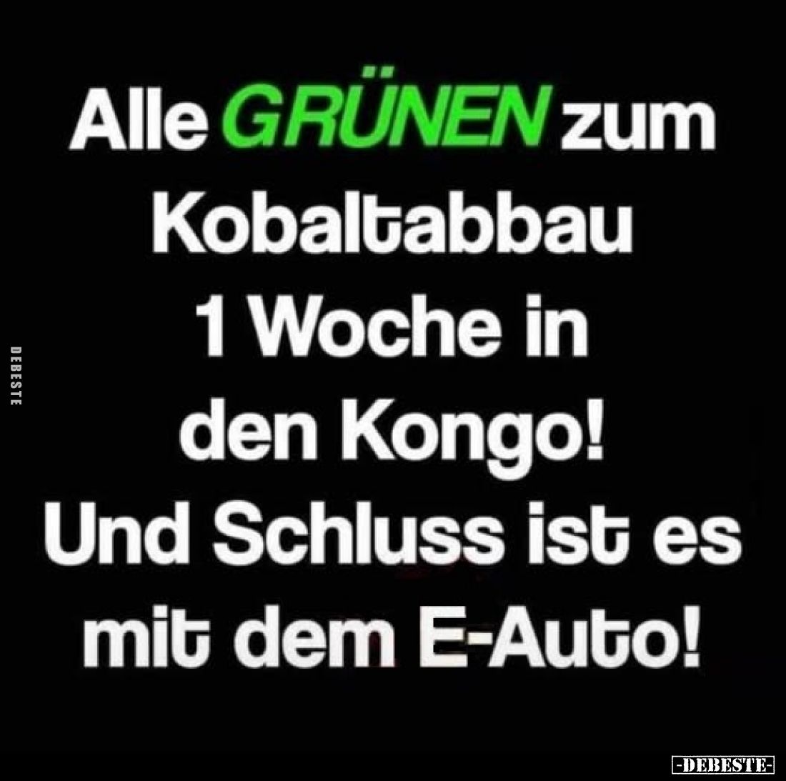 Alle GRÜNEN zum
Kobaltabbau
1 Woche in
den Kongo!
Und Schluss ist es mit dem E-Auto!