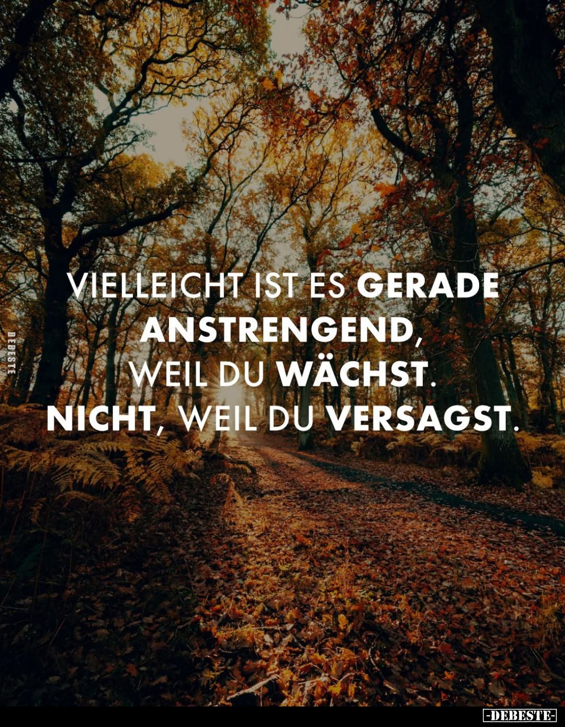 Vielleicht ist es gerade anstrengend, weil du wächst. Nicht, weil du versagst.