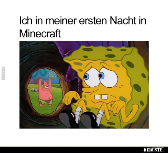 Ich in meiner ersten Nacht in Minecraft.. - Lustige Bilder | DEBESTE.de