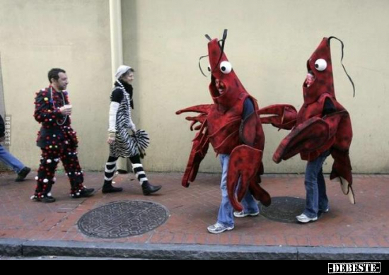  - Lustige Bilder | DEBESTE.de