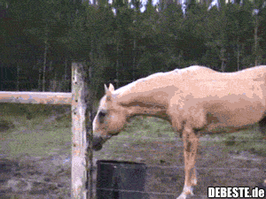 :] - Lustige Bilder | DEBESTE.de