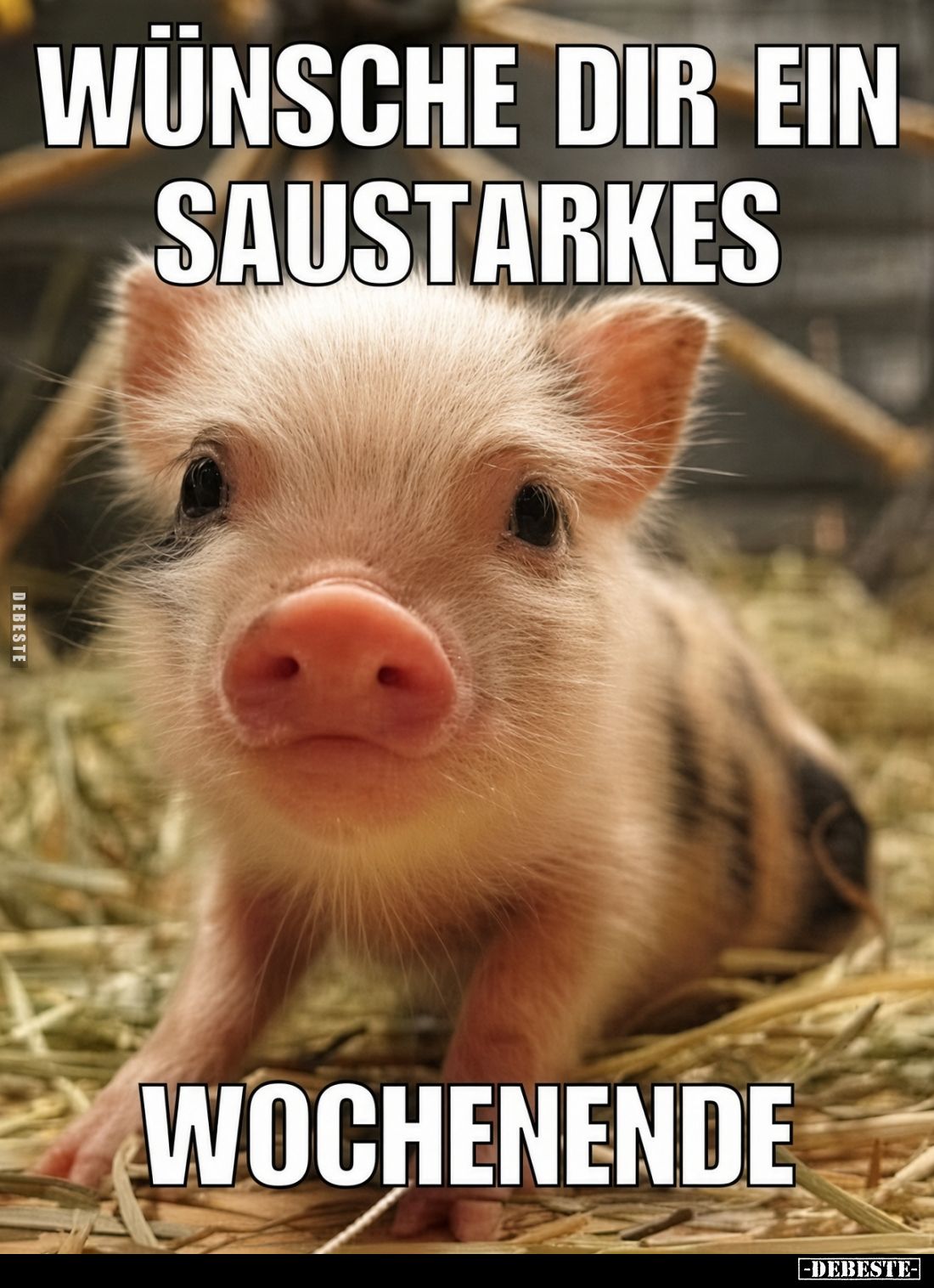 Wünsche dir ein saustarkes
Wochenende.