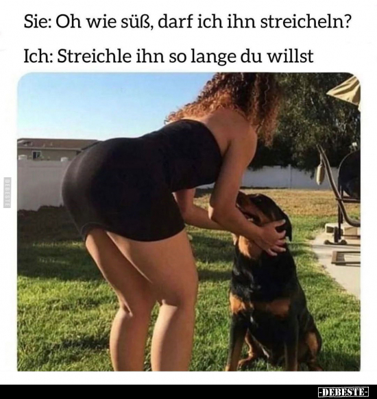Sie: Oh wie süß, darf ich ihn streicheln ?.. - Lustige Bilder | DEBESTE.de