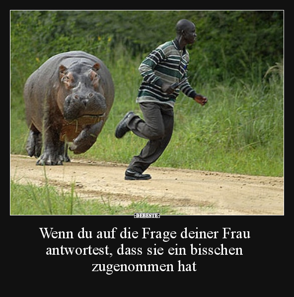 Wenn du auf die Frage deiner Frau antwortest, dass sie.. - Lustige Bilder | DEBESTE.de