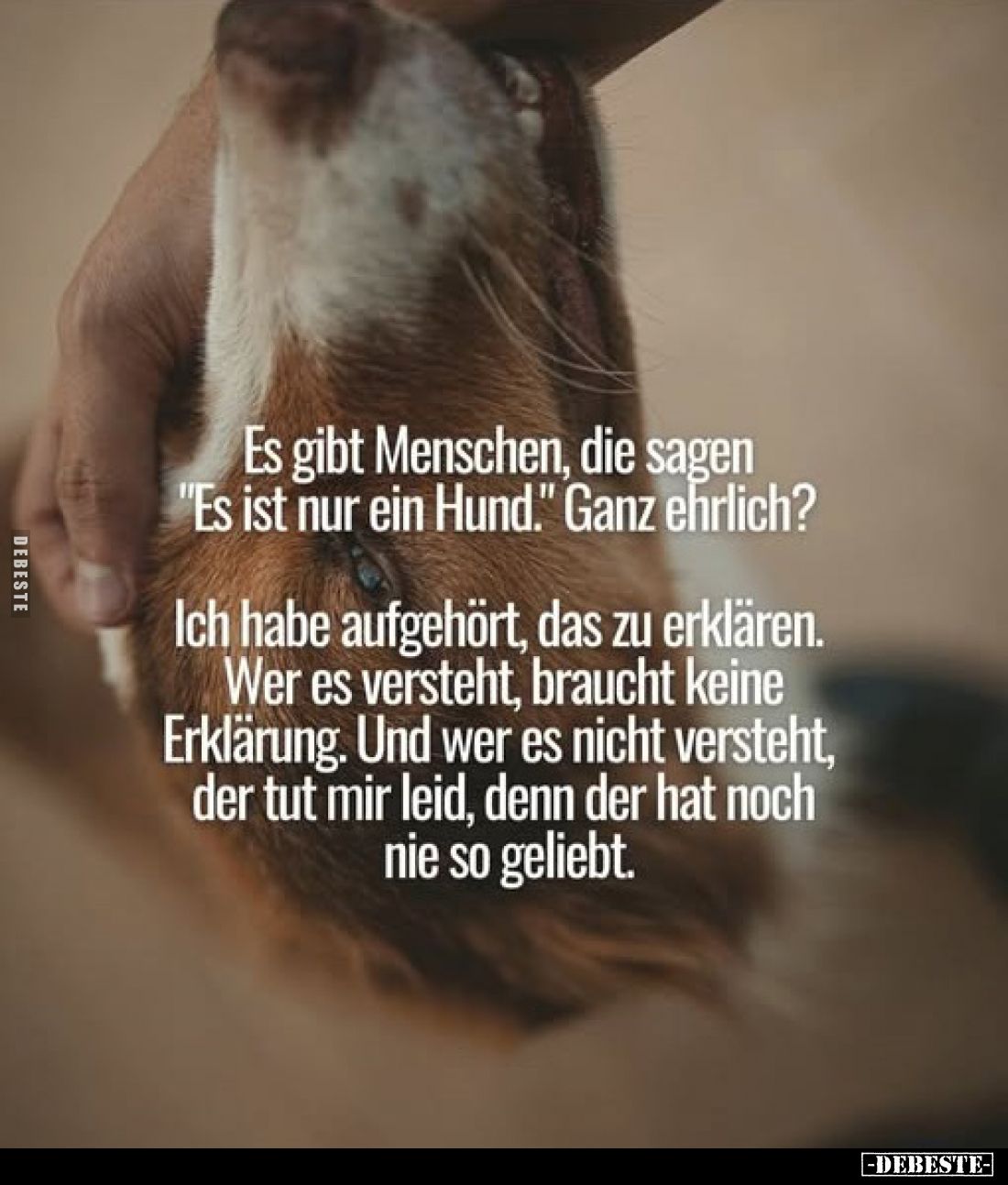 Es gibt Menschen, die sagen "Es ist nur ein Hund." Ganz ehrlich?
Ich habe aufgehört, das zu erklären. Wer es verst...