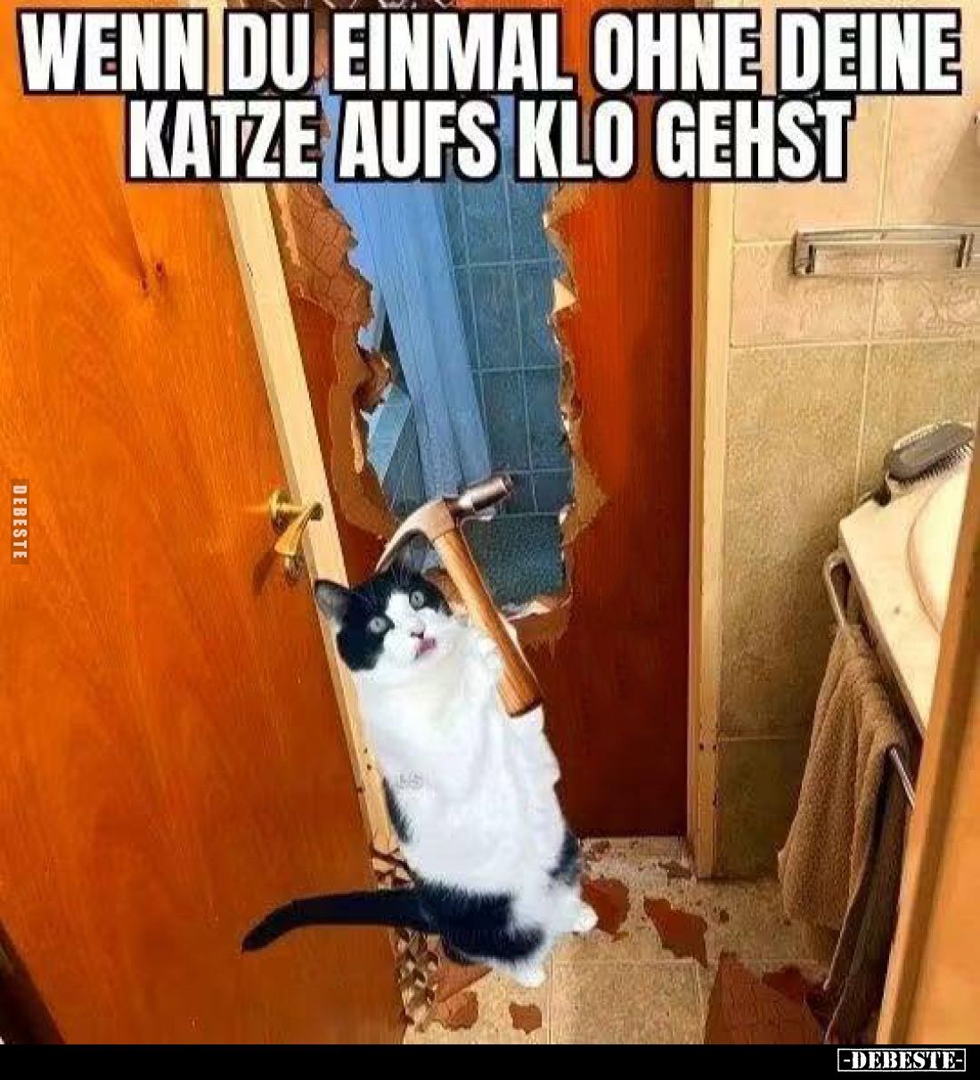 Wenn du einmal ohne deine Katze aufs Klo gehst.