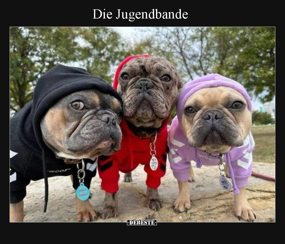 Die Jugendbande