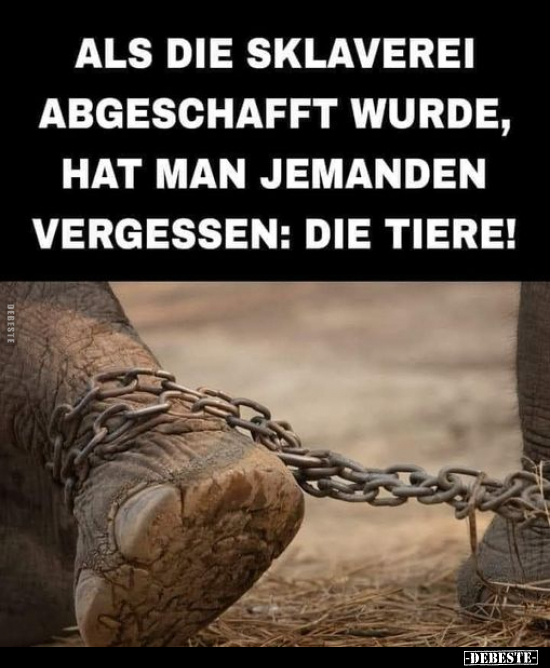 Als die Sklaverei abgeschafft wurde, hat man jemanden.. - Lustige Bilder | DEBESTE.de