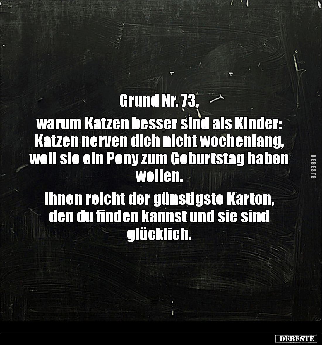 Grund Nr. 73,
warum Katzen besser sind als Kinder: Katzen nerven dich nicht wochenlang, weil sie ein Pony zum Geburtstag h...