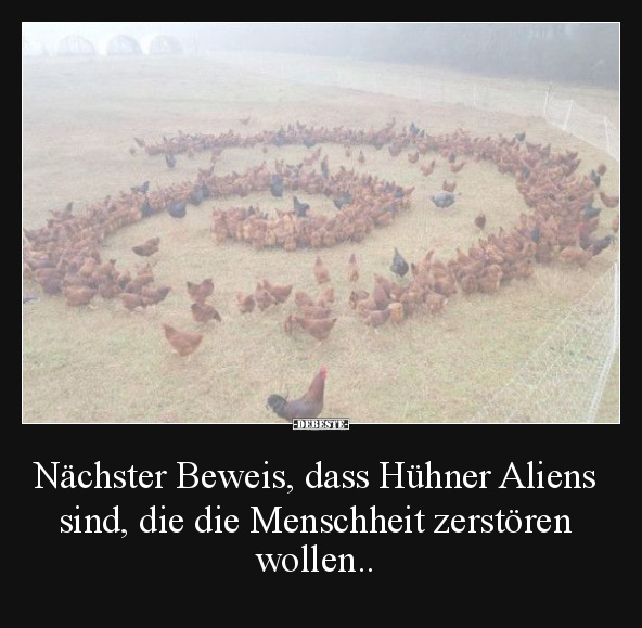 Nächster Beweis, dass Hühner Aliens sind.. - Lustige Bilder | DEBESTE.de