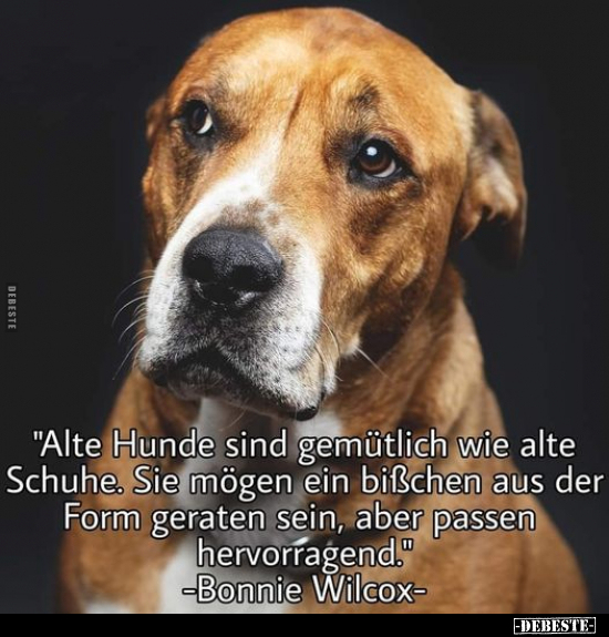 "Alte Hunde sind gemütlich wie alte Schuhe..." - Lustige Bilder | DEBESTE.de