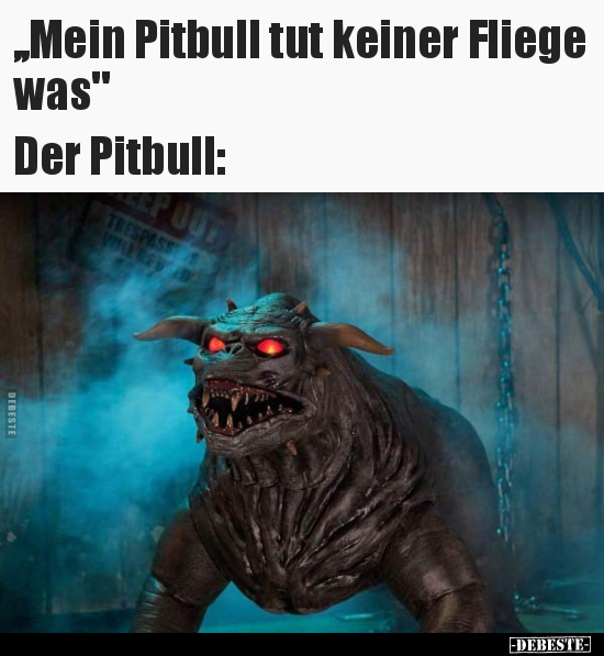 „Mein Pitbull tut keiner Fliege was".. - Lustige Bilder | DEBESTE.de