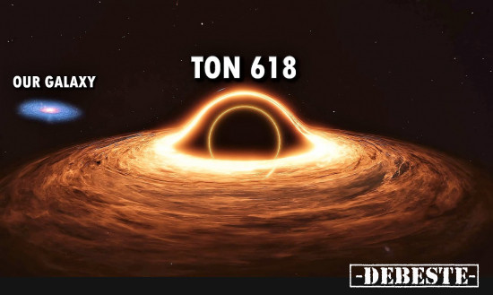  - Lustige Bilder | DEBESTE.de