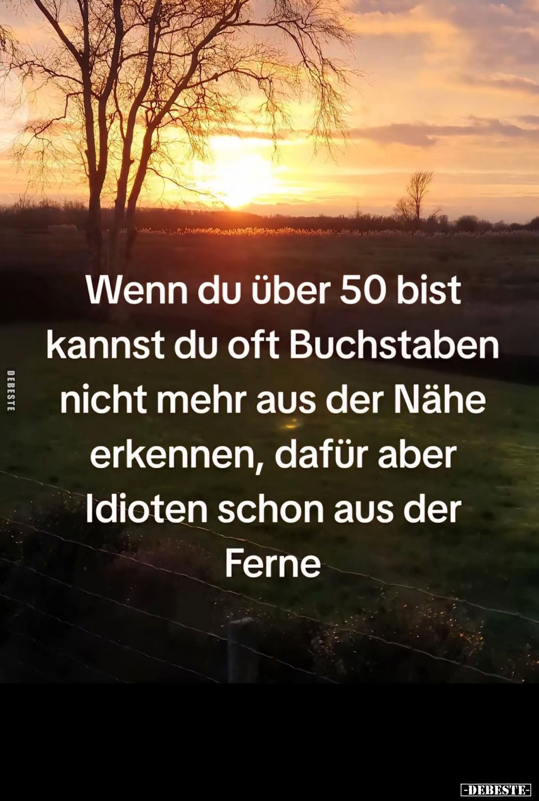 Wenn du über 50 bist, kannst du oft Buchstaben nicht mehr aus der Nähe erkennen, dafür aber Idioten schon aus der Ferne.