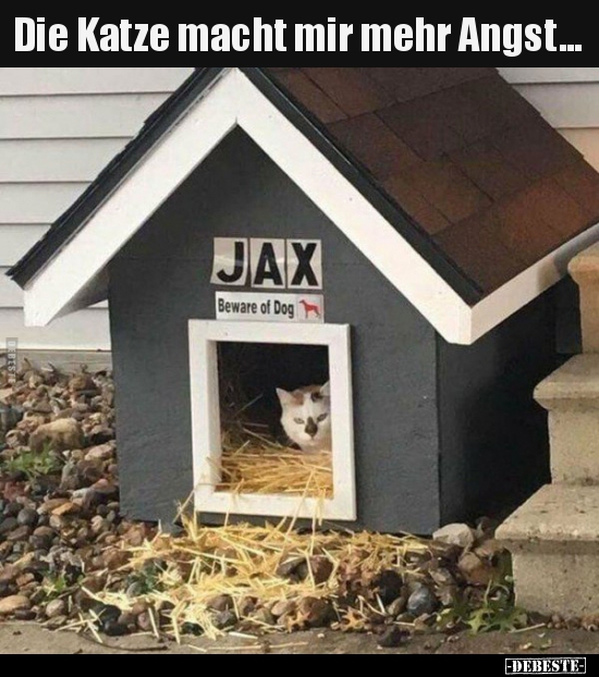 Die Katze macht mir mehr Angst...