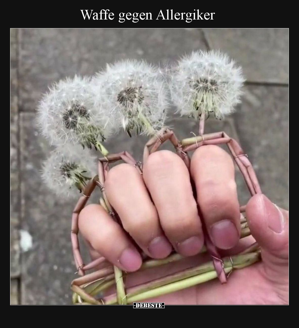 Waffe gegen Allergiker