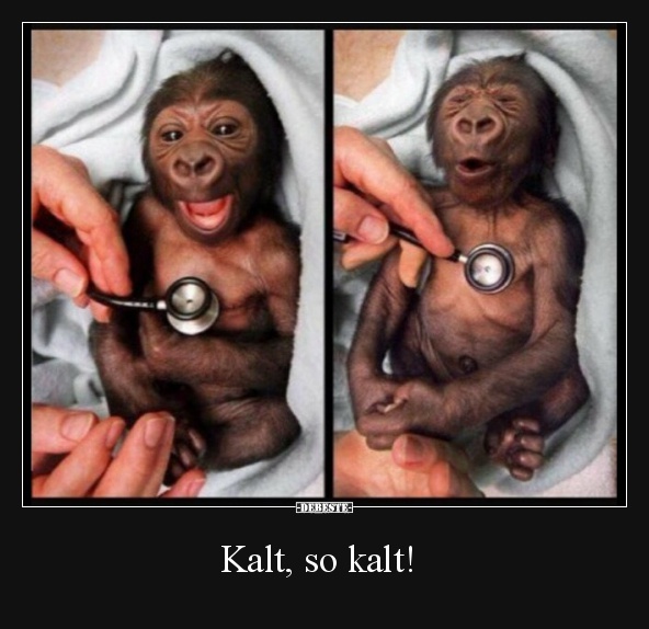 Kalt, so kalt!