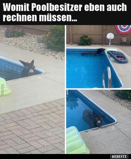Womit Poolbesitzer eben auch rechnen müssen... - Lustige Bilder | DEBESTE.de
