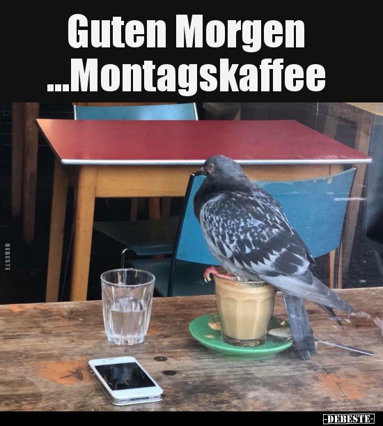Guten Morgen ...Montagskaffee.. - Lustige Bilder | DEBESTE.de