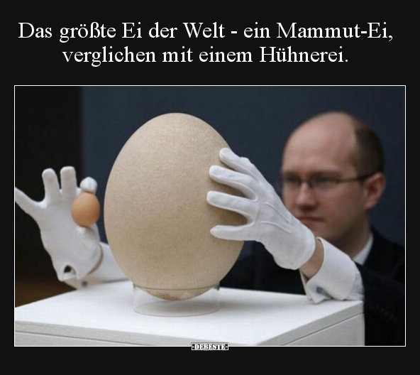Das größte Ei der Welt - ein Mammut-Ei, verglichen mit.. - Lustige Bilder | DEBESTE.de