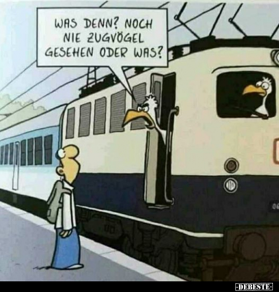 Was denn? Noch nie Zugvögel gesehen oder was?.. - Lustige Bilder | DEBESTE.de