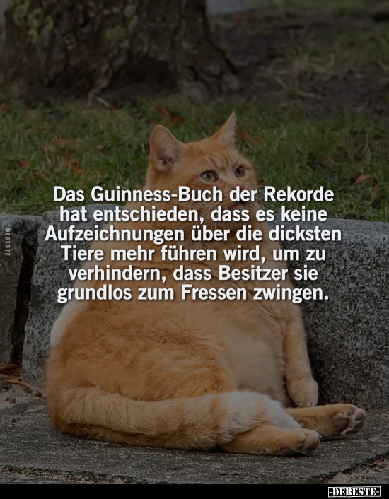 Das Guinness-Buch der Rekorde hat entschieden, dass es.. - Lustige Bilder | DEBESTE.de