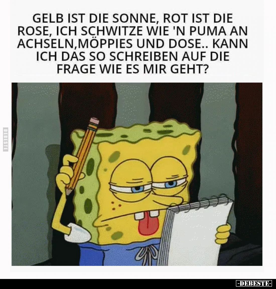 Gelb ist die Sonne, rot ist die Rose, ich schwitze wie 'n Puma an Achseln, Möppies und Dose.. kann ich das so schreiben auf d...