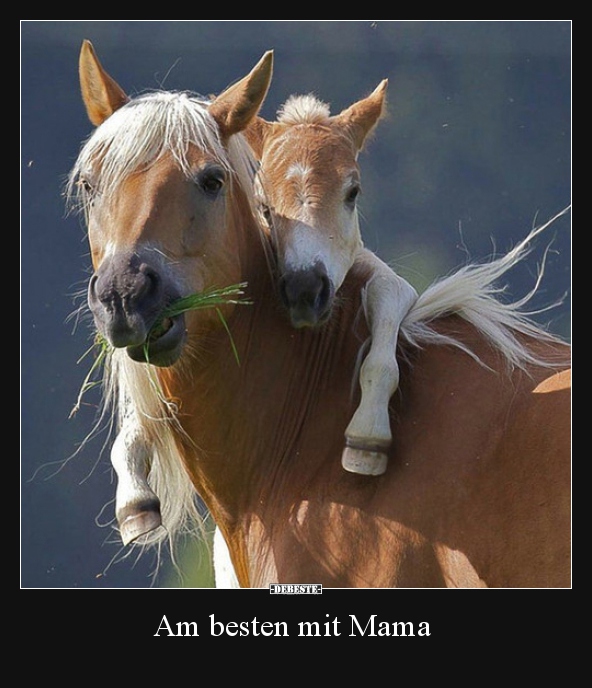 Am besten mit Mama.. - Lustige Bilder | DEBESTE.de