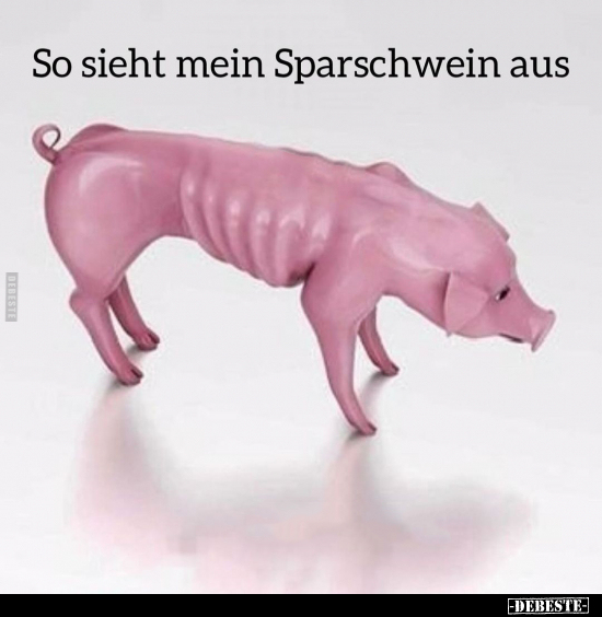 So sieht mein Sparschwein aus... - Lustige Bilder | DEBESTE.de