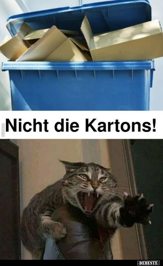 Nicht die Kartons!.. - Lustige Bilder | DEBESTE.de