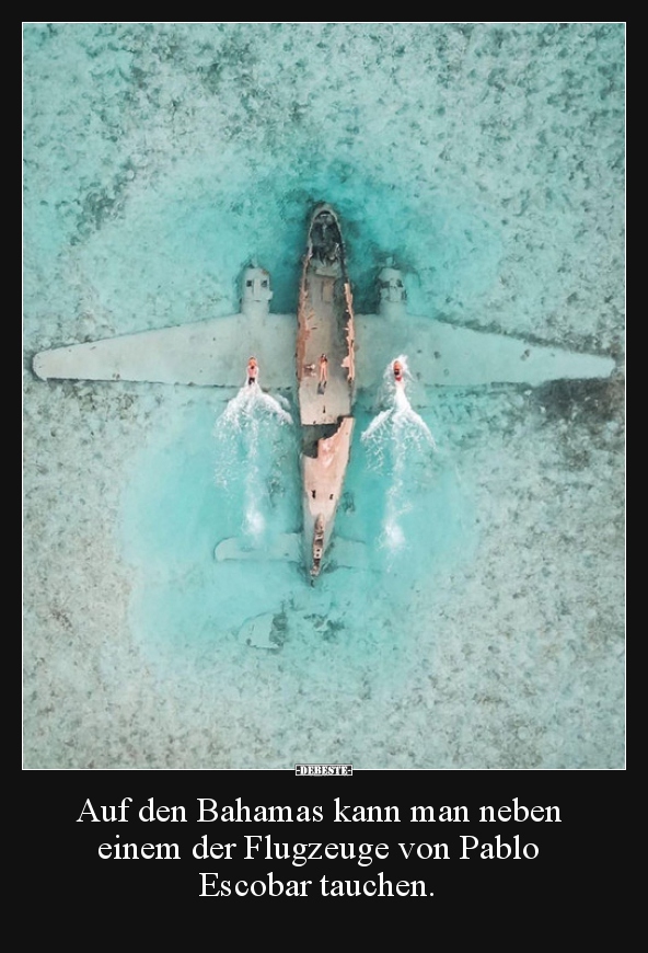 Auf den Bahamas kann man neben einem der Flugzeuge von.. - Lustige Bilder | DEBESTE.de