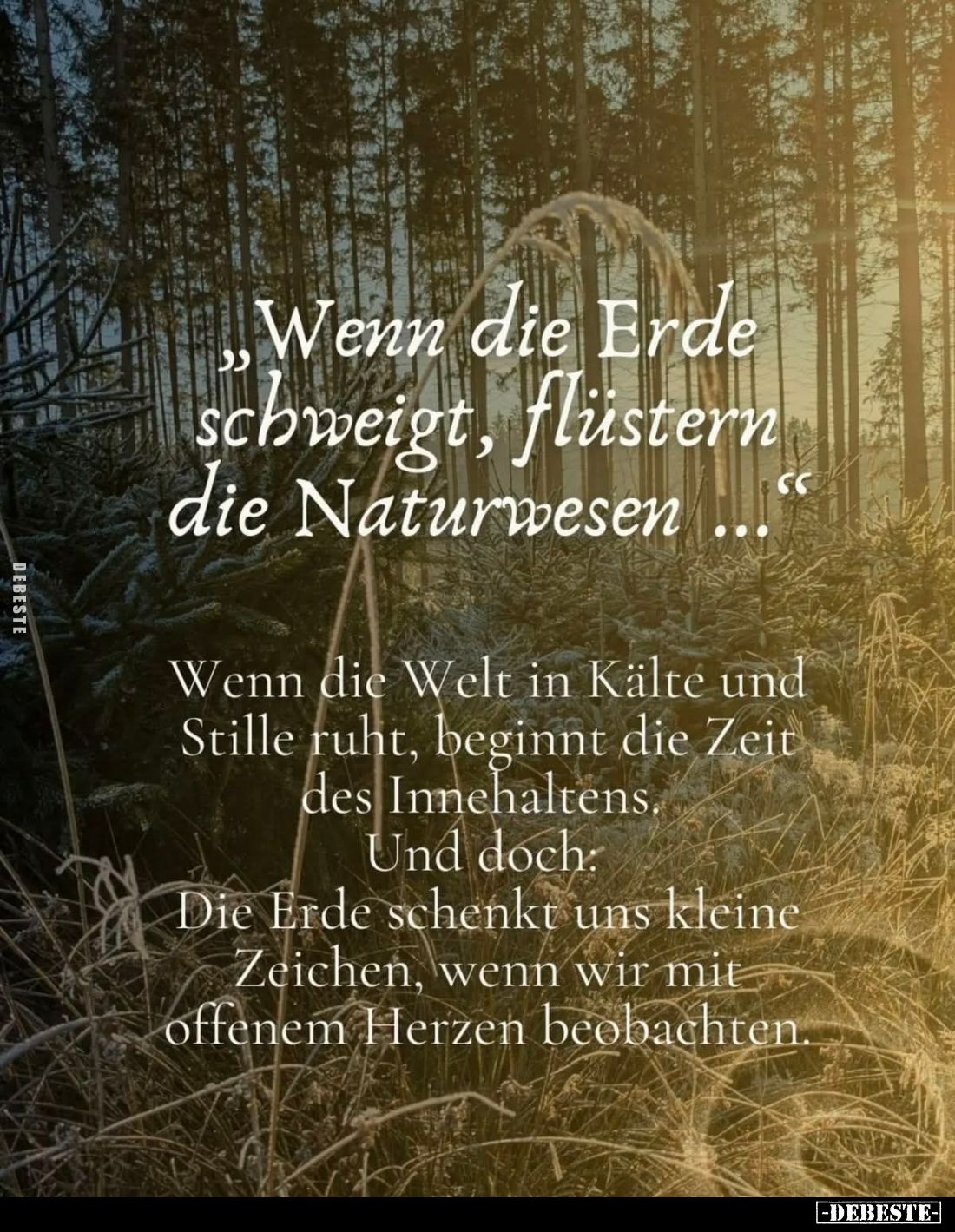 Wenn die Erde schweigt, flüstern die Naturwesen...
Wenn die Welt in Kälte und Stille ruht, beginnt die Zeit des Innehaltens....