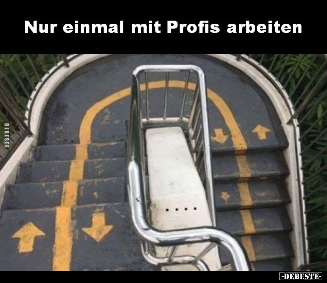 Nur einmal mit Profis arbeiten.