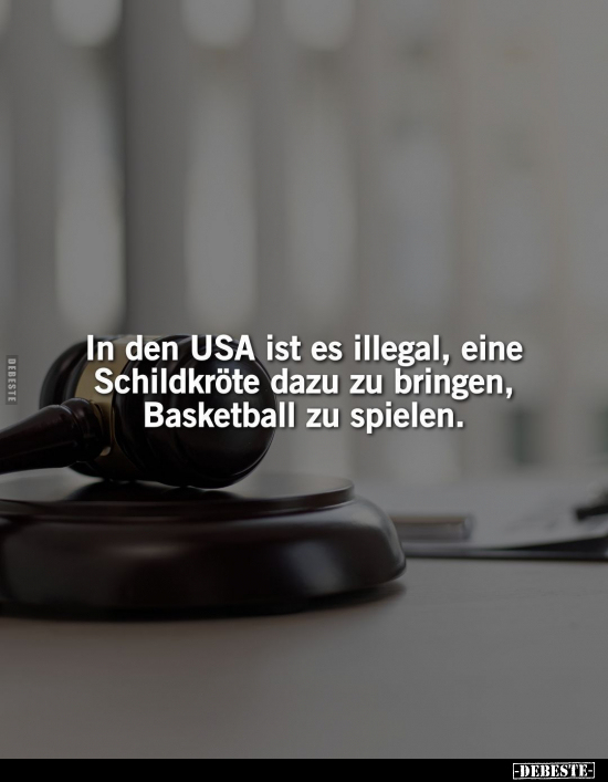 In den USA ist es illegal.. - Lustige Bilder | DEBESTE.de