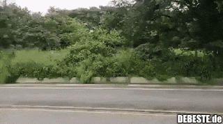  - Lustige Bilder | DEBESTE.de