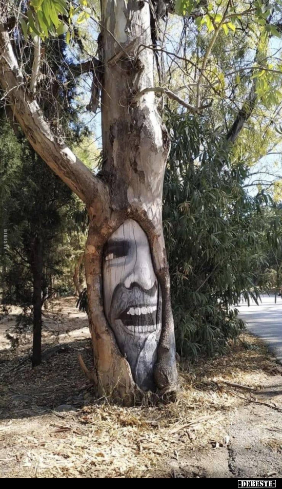  - Lustige Bilder | DEBESTE.de