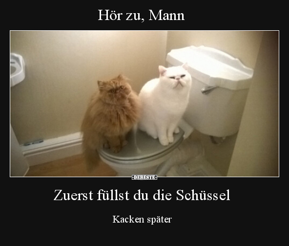 Hör zu, Mann - Zuerst füllst du die Schüssel..