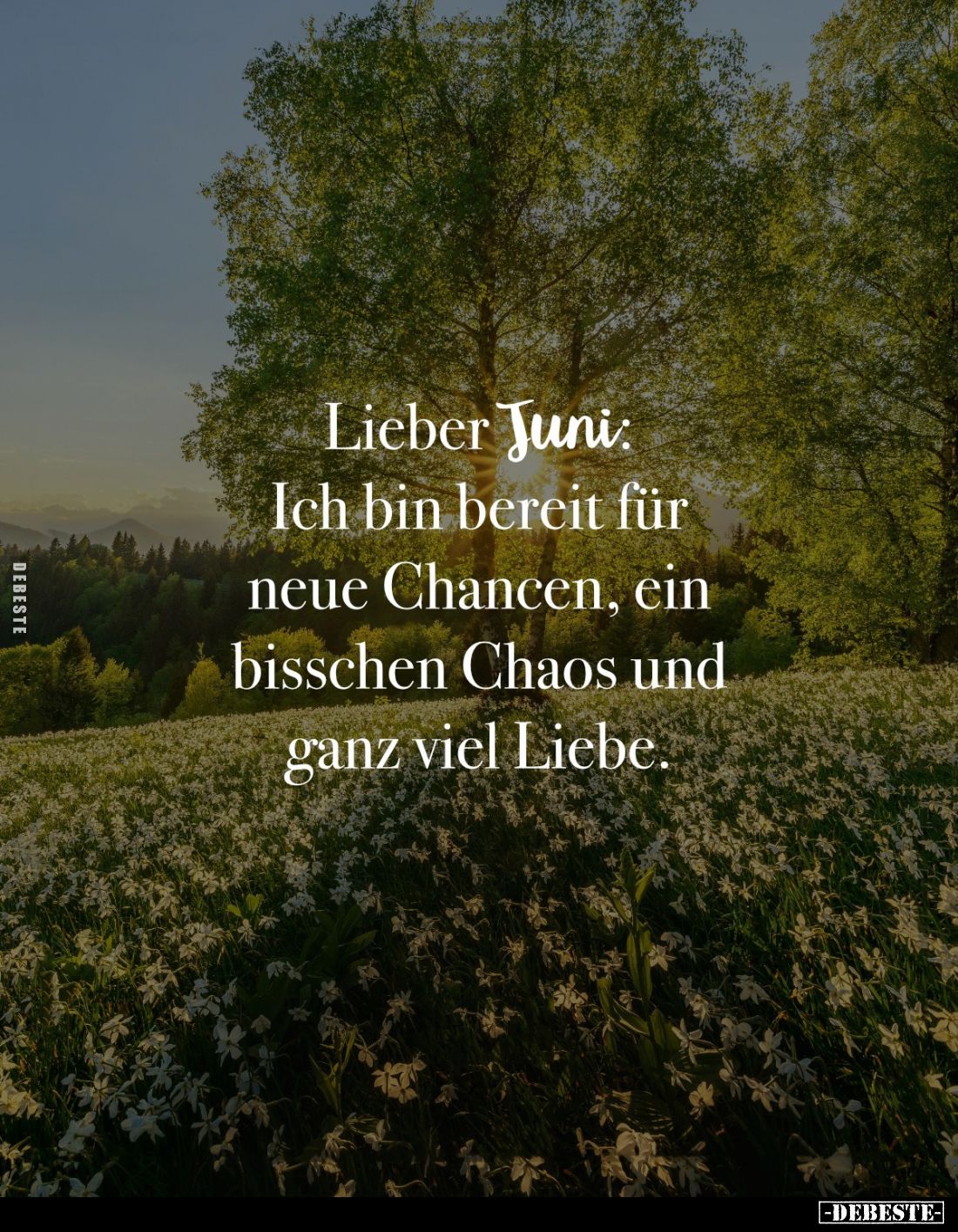 Lieber Juni: 
Ich bin bereit für neue Chancen, ein bisschen Chaos und ganz viel Liebe.